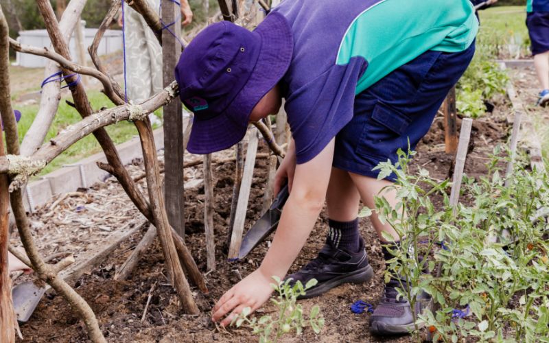 Discovery Specialist Program