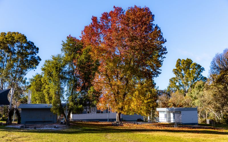 Physical Education Specialist Program